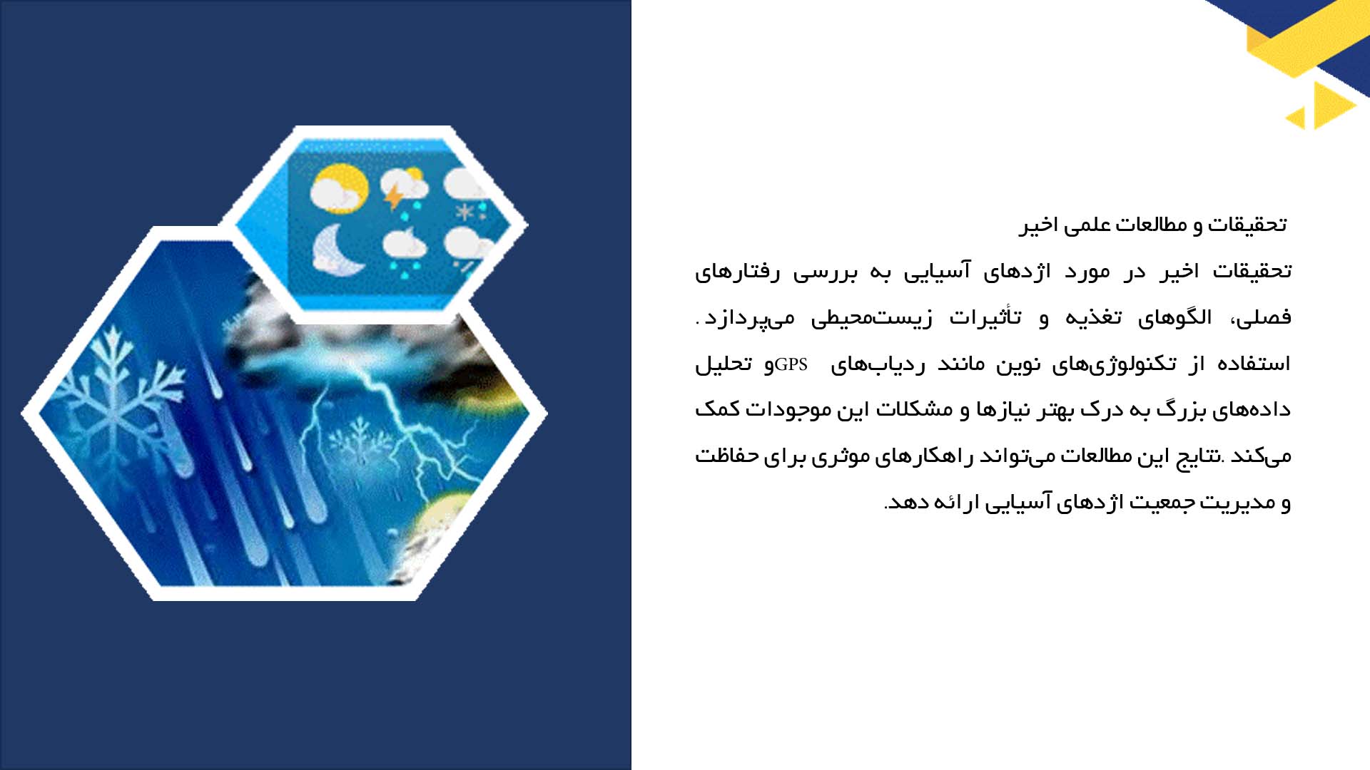پاورپوینت در مورد بررسی چرخه فصلی اژدهای آسیایی